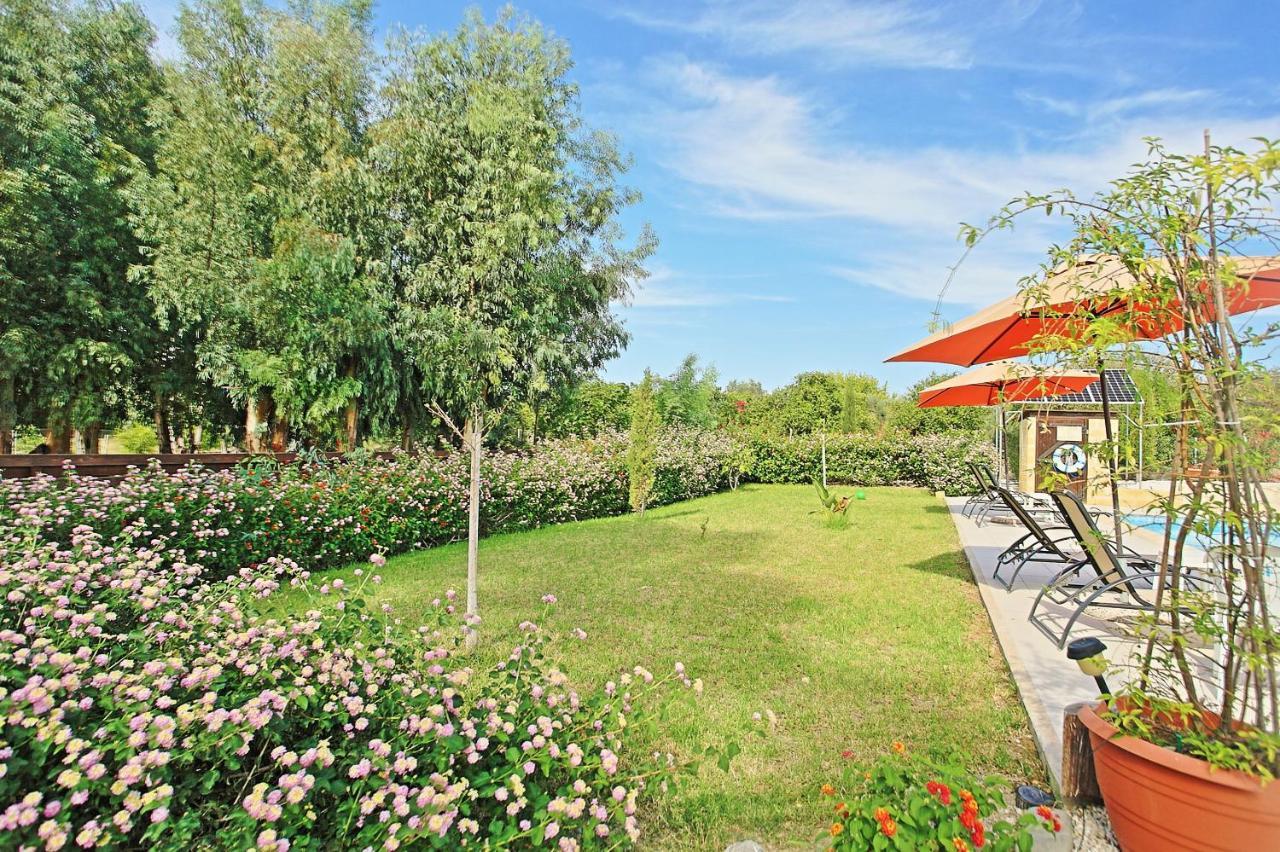 Villa Georgios Rafaela Polis Eksteriør billede